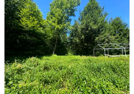 NY hunting land for sale
