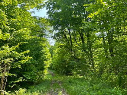 Adrondack hunting land for sale NY