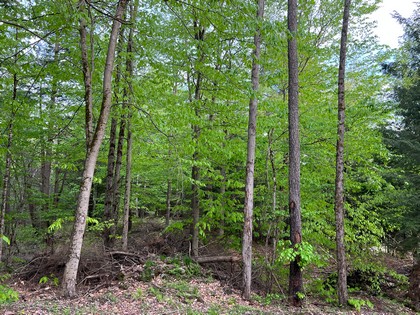 NY camp for sale in Camden NY