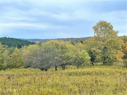 NY land for sale