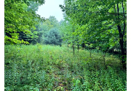 NY Finger Lakes land for sale