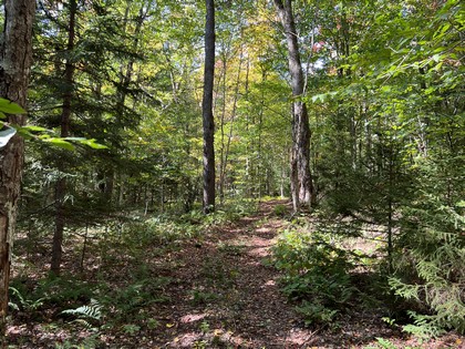 Adirondacks NY land for sale