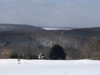 NY cabin for sale southern tier, NY