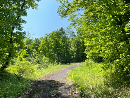 Adirondack NY land for sale