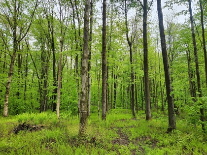 NY camps for sale