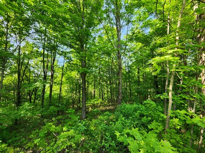 NY hunting land for sale