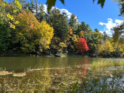 NY waterfront land for sale, land and camps, ny waterfront properties, ny lakefront land, christmas associates