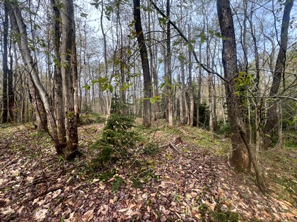 NY camps for sale