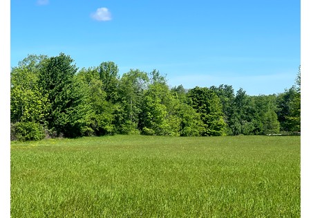 NY Southern Tier land for sale