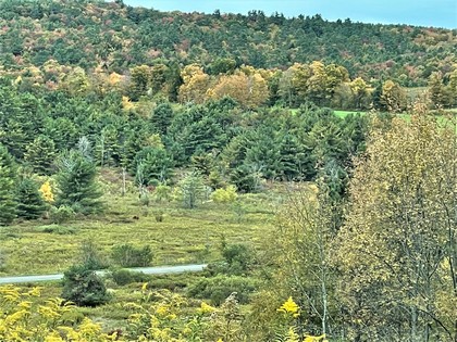 NY land for sale Catskills area