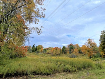 NY land for sale Catskills area