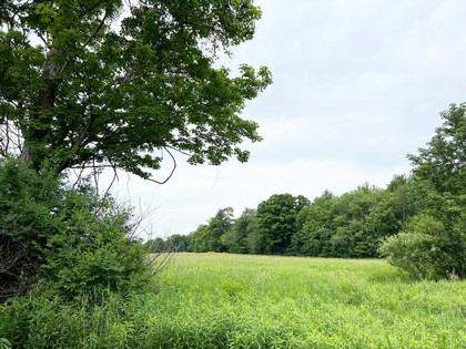 NY farmhouse for sale near Salmon River