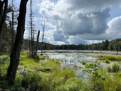 NY waterfront land for sale, land and camps, ny waterfront properties, ny lakefront land, christmas associates
