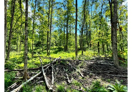 NY land for sale