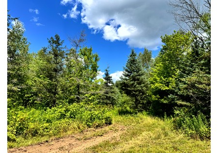 NY land for sale