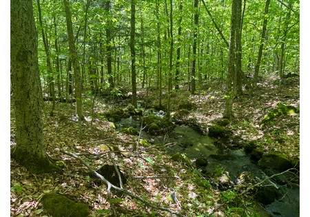 Adirondack land for sale
