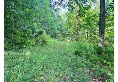 Salmon River NY building site