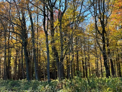 Chenango county NY land for sale
