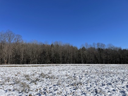 NY hunting land for sale