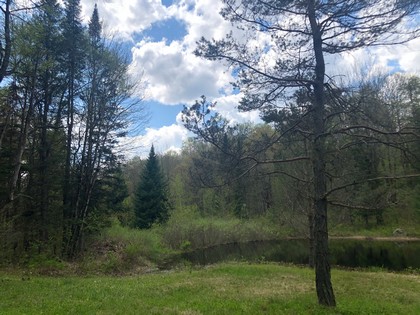 Western Adirondacks - NY camp for sale on 10 acres