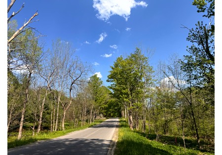 NY land for sale in Tug Hill area