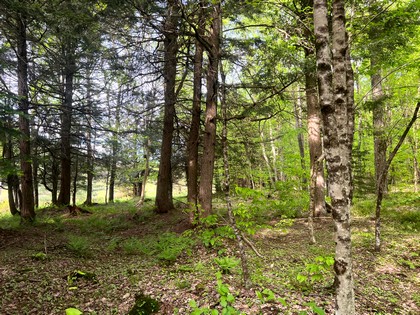 NY camps for sale