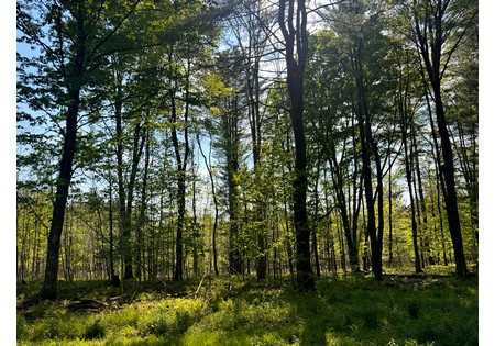 Land for sale in Tug Hill NY