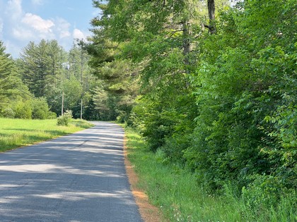 Adirondack land for sale