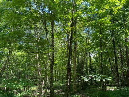 NY camp for sale in Croghan, NY