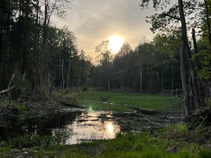 NY camp for sale in Camden NY