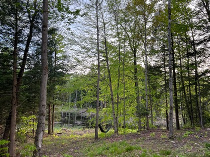 NY camp for sale in Camden NY