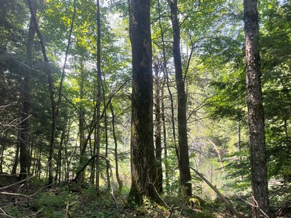 NY building lot land for sale