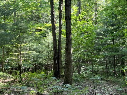 NY land for sale