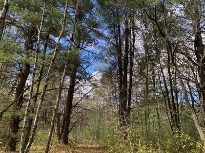 NY hunting land for sale