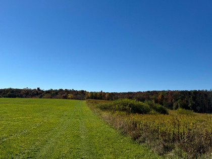 NY Southern tier NY hunting land for sale
