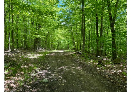 Adirondack land for sale