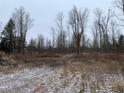 NY hunting land for sale in Diana NY