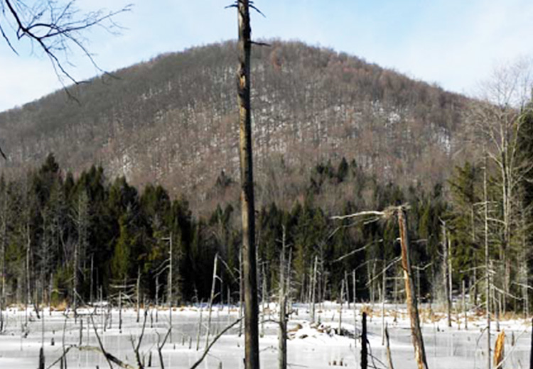 thumbnail image of land for sale near adirondacks ny image of trees and hill hadley highlands from land and camps