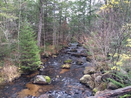 Adirondack land for sale NY