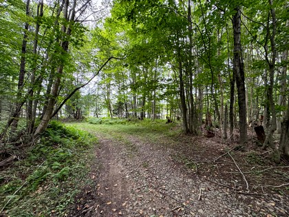 NY log cabin for sale