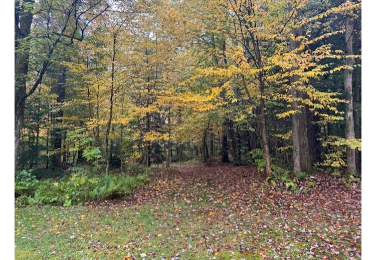 Tug Hill NY land for sale