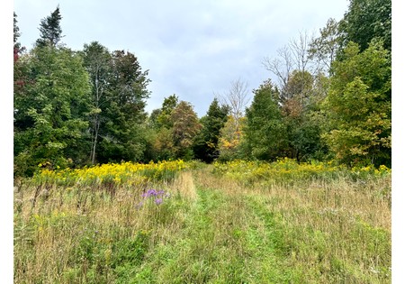NY hunting land for sale