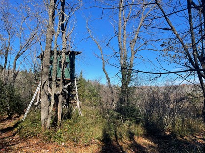 NY Tug Hill camp for sale