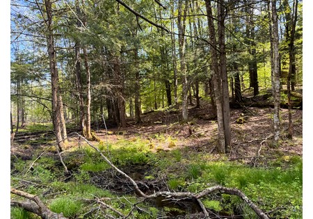 Land for sale in Tug Hill NY