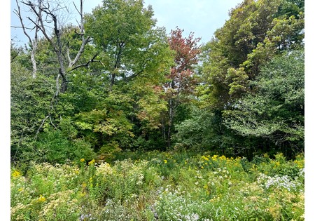 NY hunting land for sale