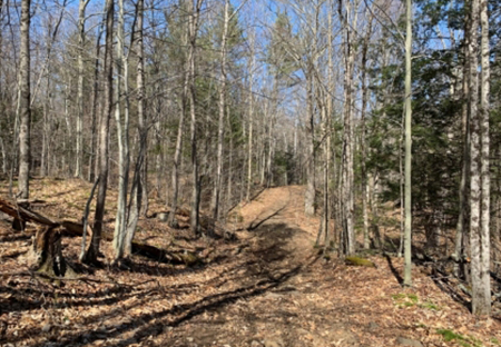 land for sale near adirondacks ny hadley highlands from land and camps