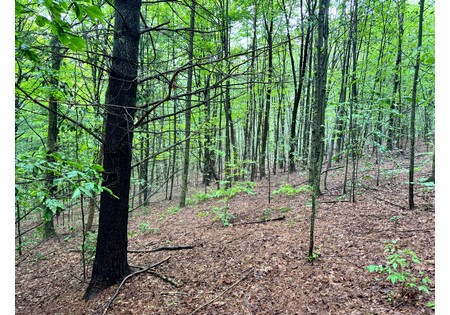 NY Finger Lakes land for sale