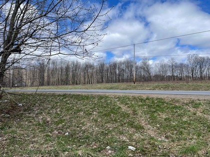 NY land and camps near Salmon River