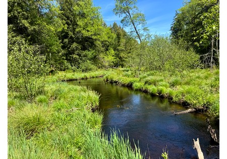 Oneida Lake NY area land for sale