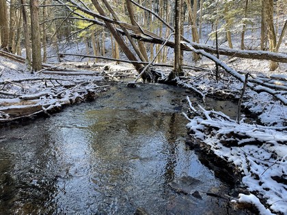 NY waterfront land for sale